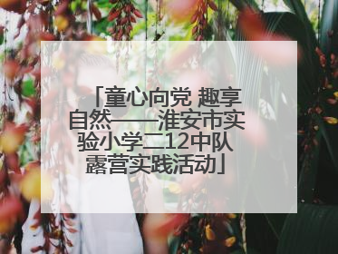 童心向党 趣享自然——淮安市实验小学二12中队露营实践活动