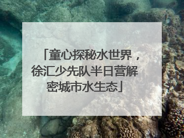 童心探秘水世界，徐汇少先队半日营解密城市水生态
