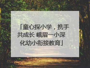 童心探小学，携手共成长 峨眉一小深化幼小衔接教育