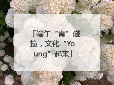 端午“青”碰撞，文化“Young”起来