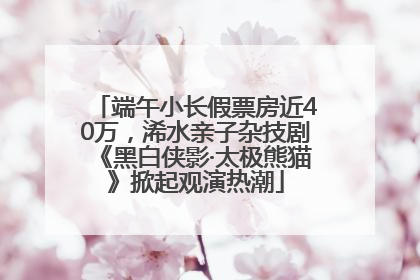 端午小长假票房近40万，浠水亲子杂技剧《黑白侠影·太极熊猫》掀起观演热潮