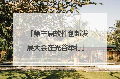 第三届软件创新发展大会在光谷举行