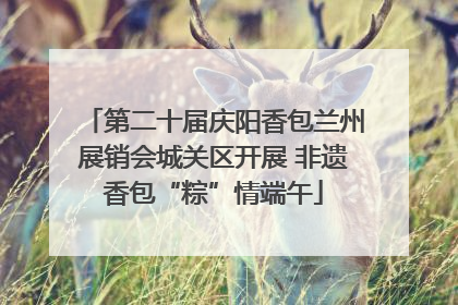 第二十届庆阳香包兰州展销会城关区开展 非遗香包“粽”情端午