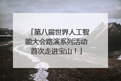 第八届世界人工智能大会路演系列活动首次走进宝山！