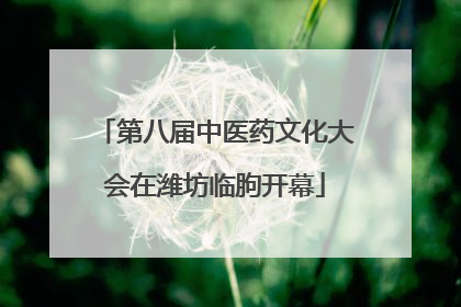 第八届中医药文化大会在潍坊临朐开幕