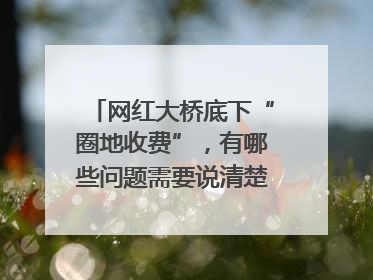 网红大桥底下“圈地收费”，有哪些问题需要说清楚｜新京报快评