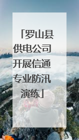 罗山县供电公司开展信通专业防汛演练
