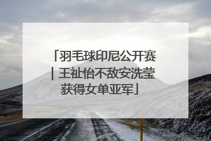 羽毛球印尼公开赛｜王祉怡不敌安洗莹 获得女单亚军
