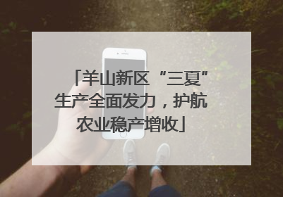 羊山新区“三夏”生产全面发力，护航农业稳产增收