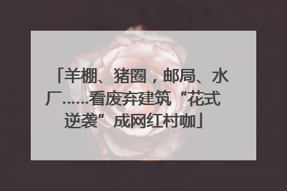 羊棚、猪圈，邮局、水厂……看废弃建筑“花式逆袭”成网红村咖
