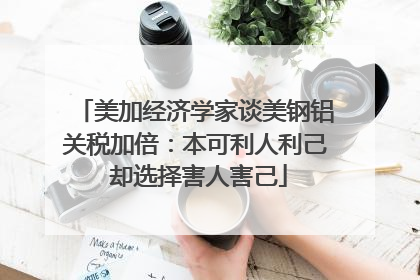 美加经济学家谈美钢铝关税加倍：本可利人利己 却选择害人害己