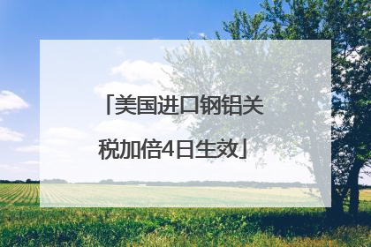 美国进口钢铝关税加倍4日生效