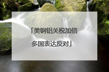 美钢铝关税加倍 多国表达反对