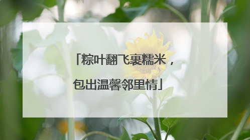 粽叶翻飞裹糯米，包出温馨邻里情