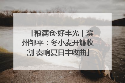 粮满仓·好丰光｜滨州邹平：冬小麦开镰收割 奏响夏日丰收曲