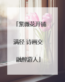 紫薇花开铺满径 诗画交融醉游人