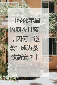 绿化带里的羽衣甘蓝，因何“逆袭”成为茶饮新宠？