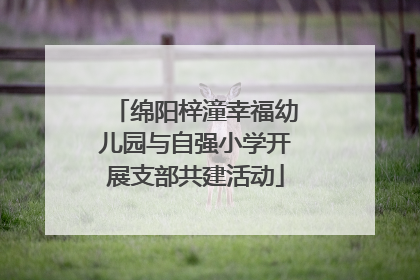 绵阳梓潼幸福幼儿园与自强小学开展支部共建活动