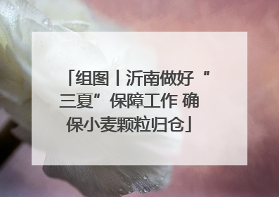 组图丨沂南做好“三夏”保障工作 确保小麦颗粒归仓