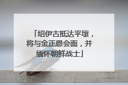 绍伊古抵达平壤，将与金正恩会面，并缅怀朝鲜战士