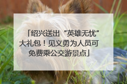 绍兴送出“英雄无忧”大礼包！见义勇为人员可免费乘公交游景点