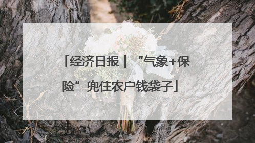 经济日报｜“气象+保险”兜住农户钱袋子