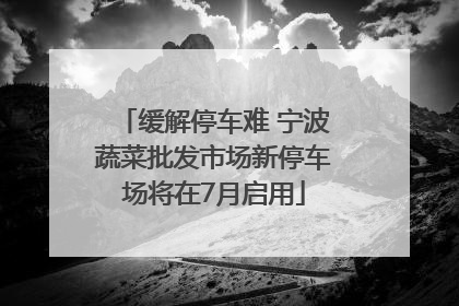 缓解停车难 宁波蔬菜批发市场新停车场将在7月启用