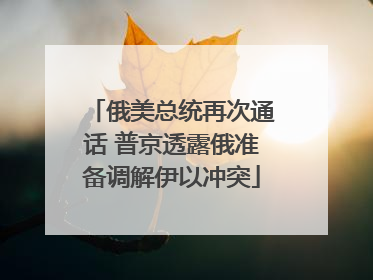 俄美总统再次通话 普京透露俄准备调解伊以冲突