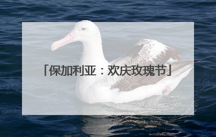 保加利亚：欢庆玫瑰节