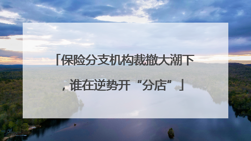 保险分支机构裁撤大潮下，谁在逆势开“分店”