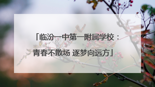 临汾一中第一附属学校：青春不散场 逐梦向远方