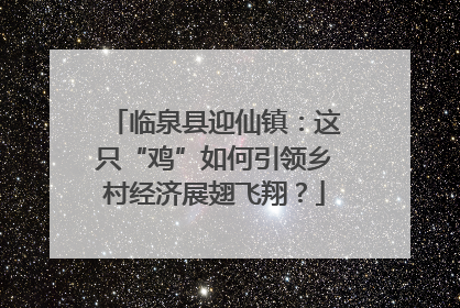 临泉县迎仙镇：这只“鸡”如何引领乡村经济展翅飞翔？