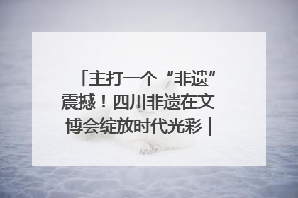 主打一个“非遗”震撼！四川非遗在文博会绽放时代光彩｜文博向“新”