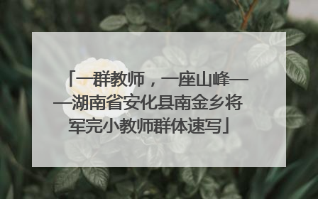 一群教师，一座山峰——湖南省安化县南金乡将军完小教师群体速写