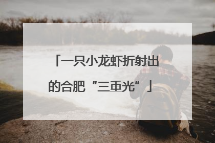 一只小龙虾折射出的合肥“三重光”
