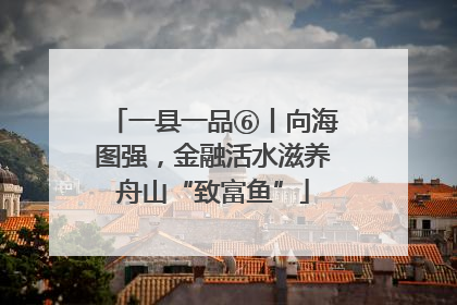 一县一品⑥丨向海图强，金融活水滋养舟山“致富鱼”