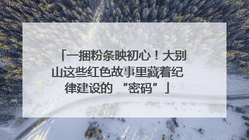 一捆粉条映初心！大别山这些红色故事里藏着纪律建设的 “密码”