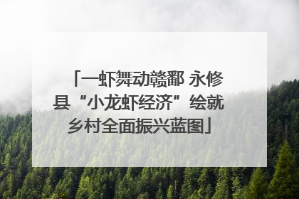 一虾舞动赣鄱 永修县“小龙虾经济”绘就乡村全面振兴蓝图