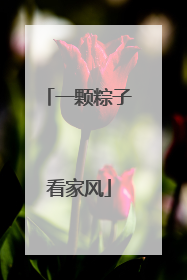一颗粽子看家风