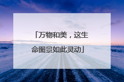 万物和美，这生命图景如此灵动