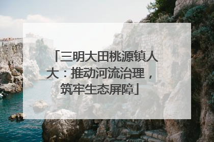 三明大田桃源镇人大：推动河流治理，筑牢生态屏障
