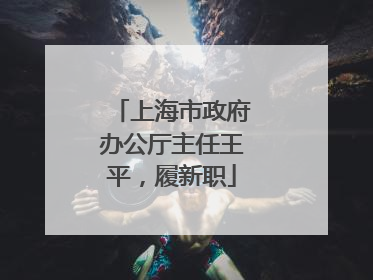 上海市政府办公厅主任王平，履新职