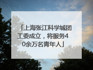 上海张江科学城团工委成立，将服务40余万名青年人