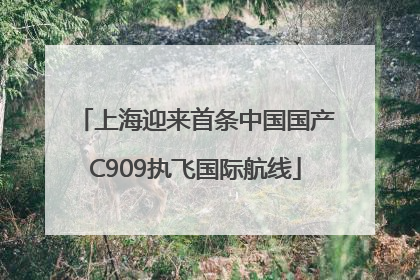 上海迎来首条中国国产C909执飞国际航线