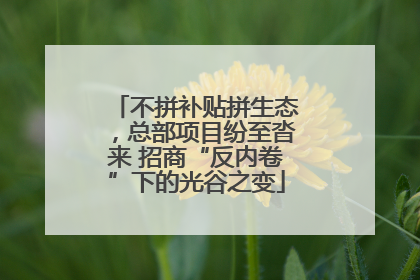 不拼补贴拼生态，总部项目纷至沓来 招商“反内卷”下的光谷之变