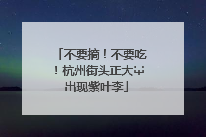 不要摘！不要吃！杭州街头正大量出现紫叶李