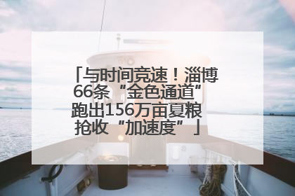 与时间竞速！淄博66条“金色通道”跑出156万亩夏粮抢收“加速度”
