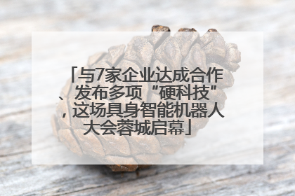 与7家企业达成合作、发布多项“硬科技”，这场具身智能机器人大会蓉城启幕
