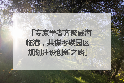 专家学者齐聚威海临港，共谋零碳园区规划建设创新之路