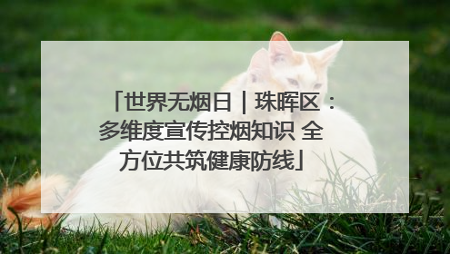 世界无烟日｜珠晖区：多维度宣传控烟知识 全方位共筑健康防线